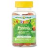 Spring Valley Kids' Probiotic + Prebiotic Vegetarian Gummies; 60 Count